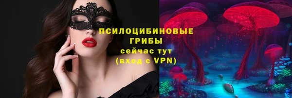 соль курить ск Рославль