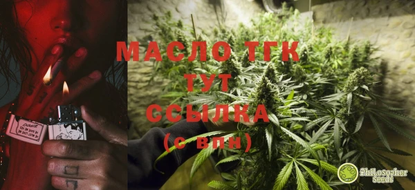 метадон Богданович