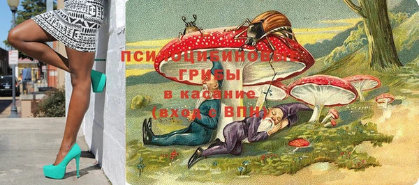 метадон Богданович